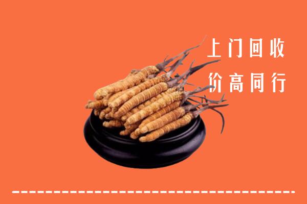 高价求购：青岛市市南区回收散虫草