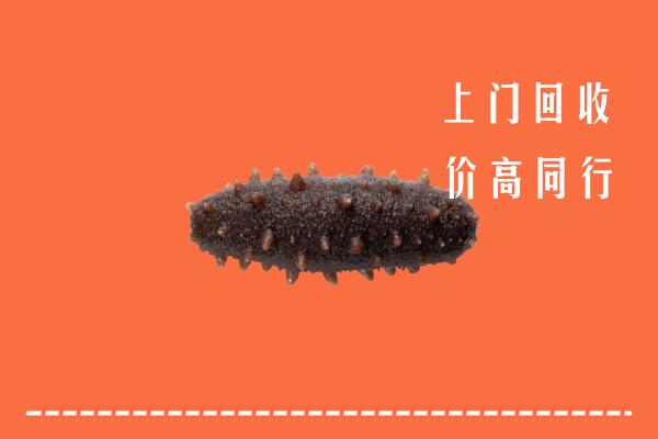 高价求购：青岛市市南区回收海参