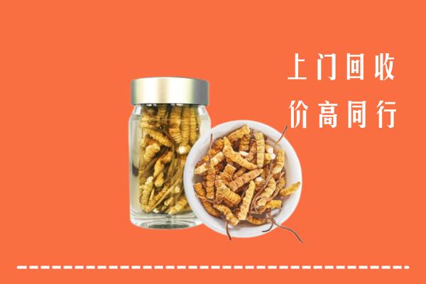 青岛市市南区回收冬虫夏草