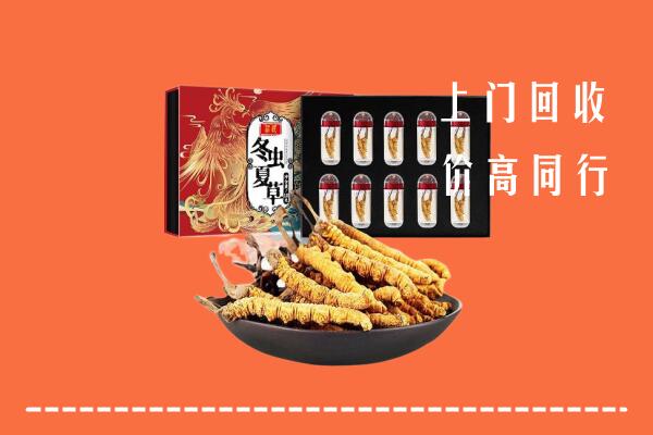 青岛市市南区回收虫草